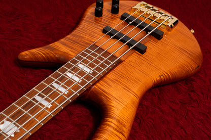 【new】Spector / Japan Exclusive Series Euro 5 LX LQ Tinted Natural Nitro Aged 4.150kg #NB23968【GIB Yokohama】