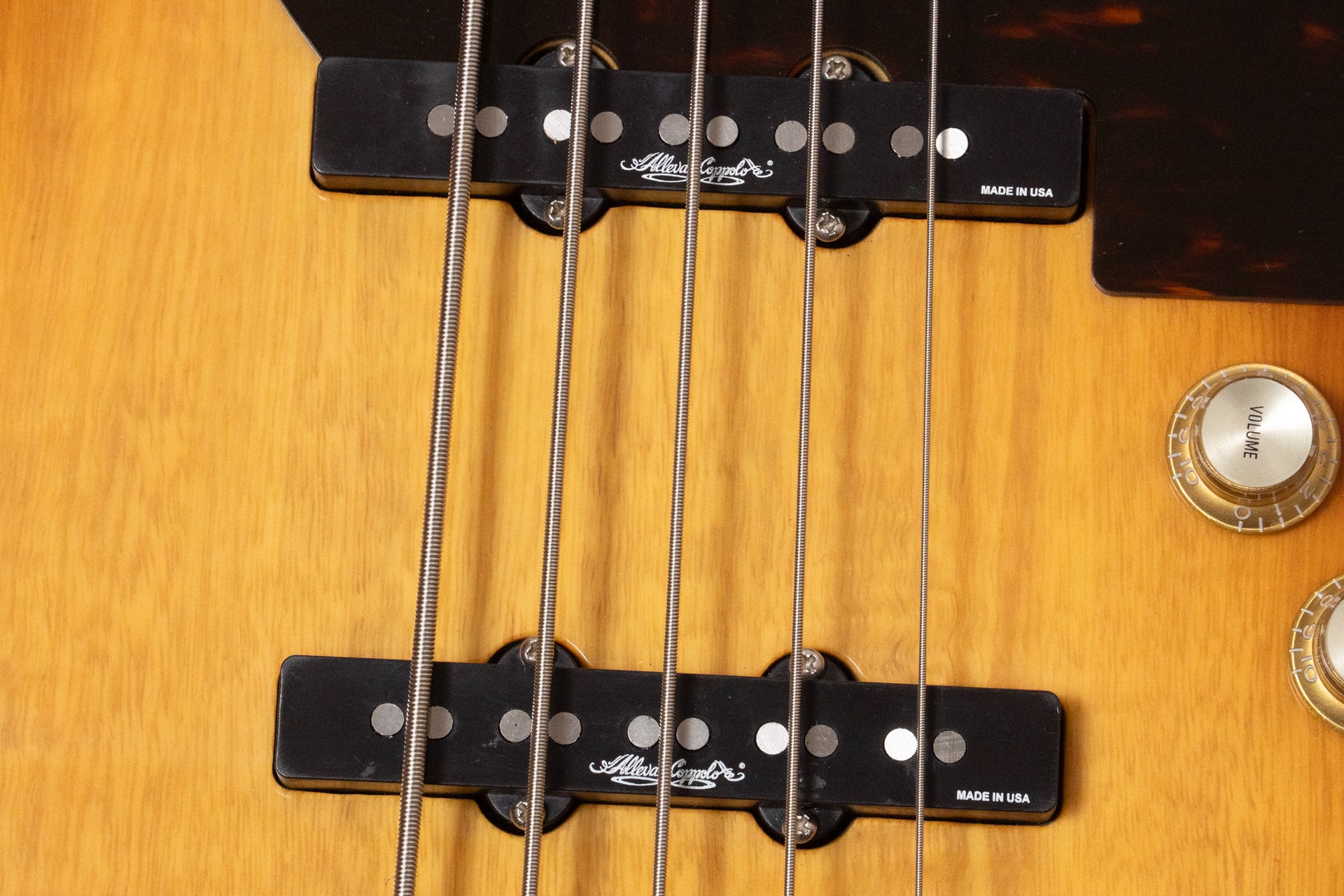 used】Alleva Coppolo / 2020 Namm Show Limited Edition LG5 2020