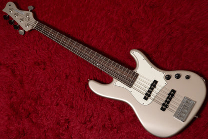【new】Freedom Custom Guitar Research / C.S. Anthra 5st. Frost Gold MH  4.25kg #26046070【GIB Yokohama】