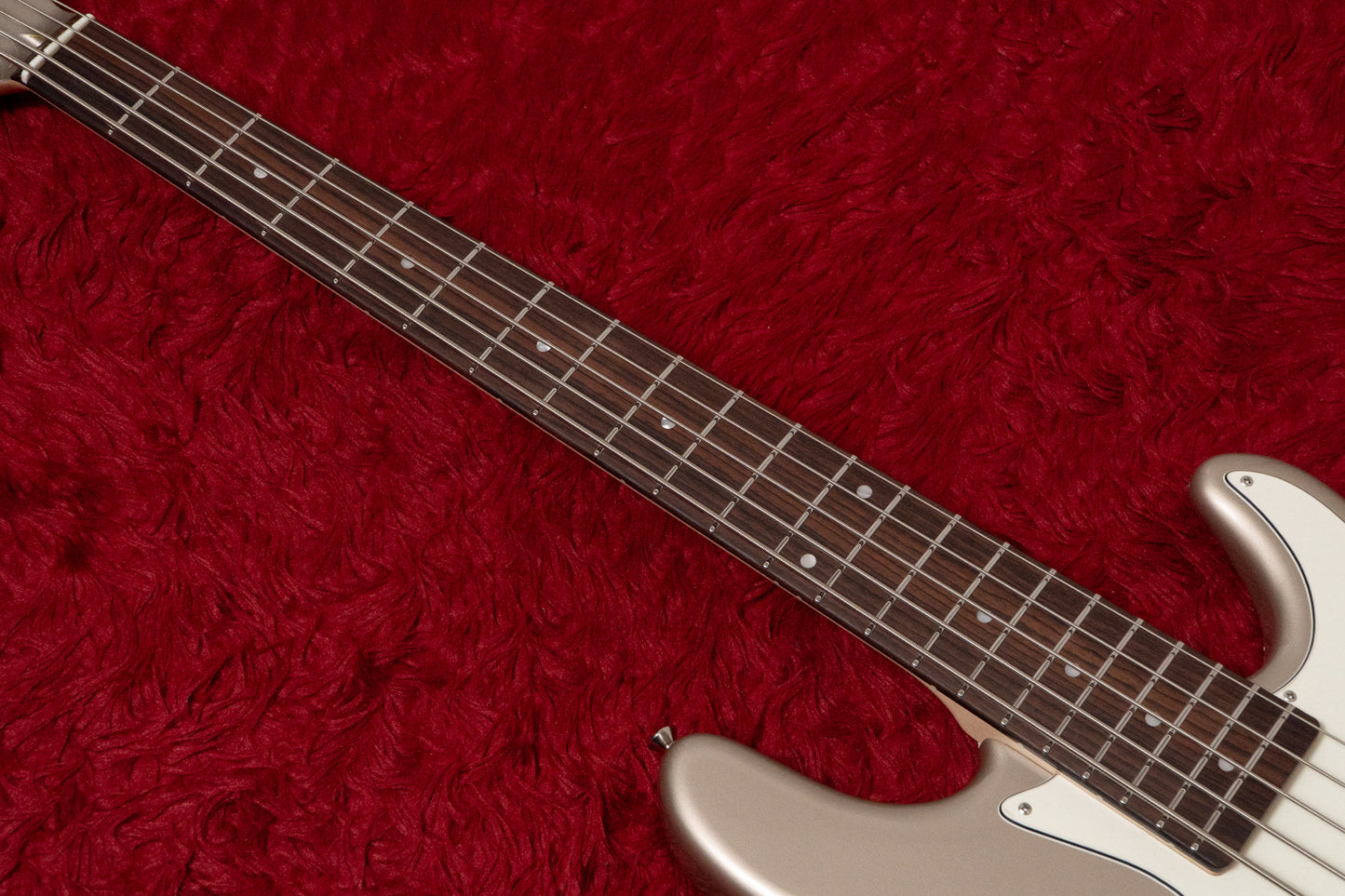 【new】Freedom Custom Guitar Research / C.S. Anthra 5st. Frost Gold MH  4.25kg #26046070【GIB Yokohama】