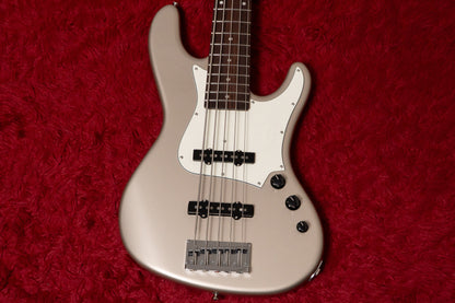 【new】Freedom Custom Guitar Research / C.S. Anthra 5st. Frost Gold MH  4.25kg #26046070【GIB Yokohama】