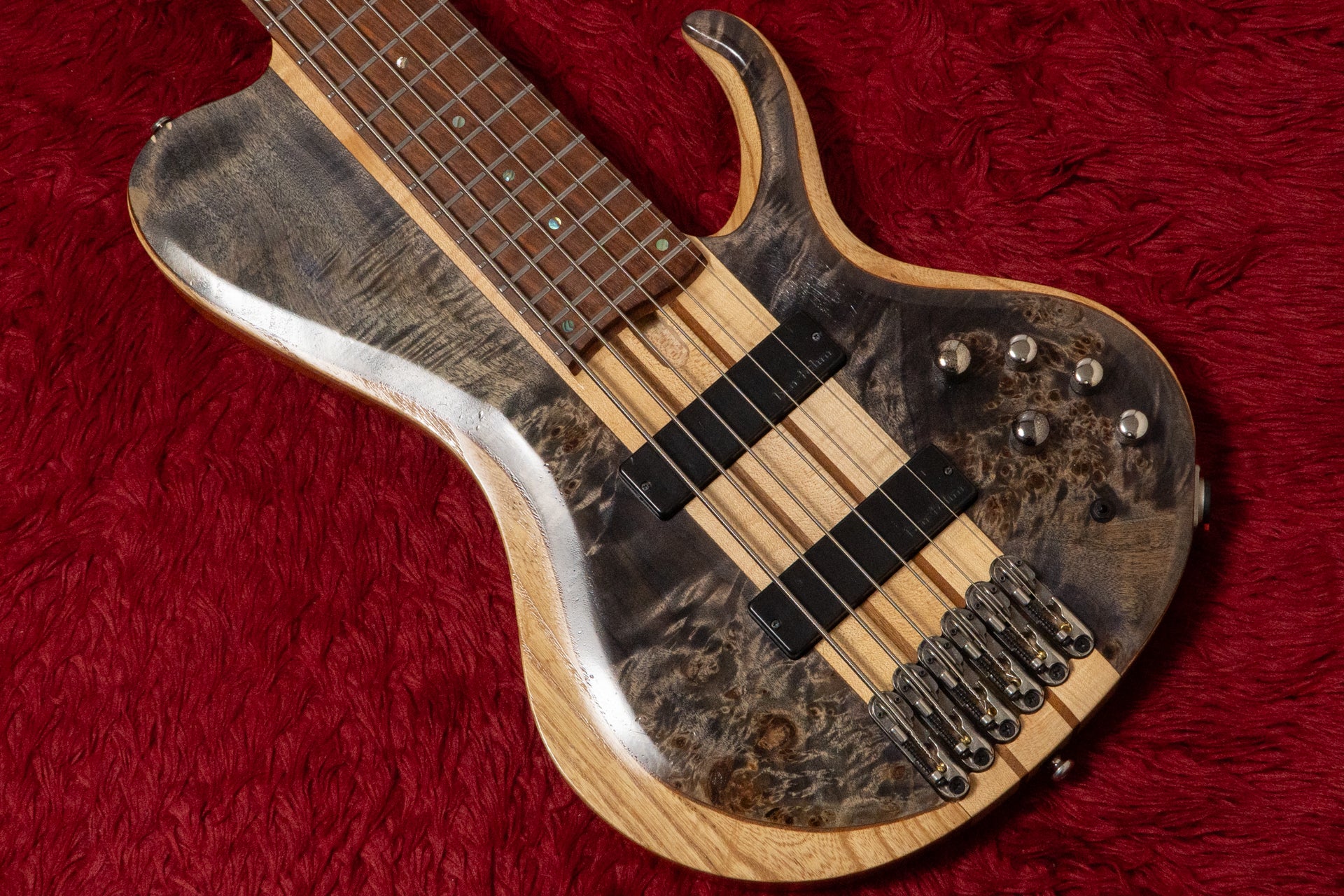 Bass – Bass Shop Geek IN Box