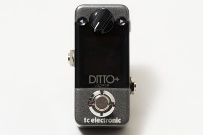 【used】tc electronic / DITTO+ LOOPER【GIB Yokohama】