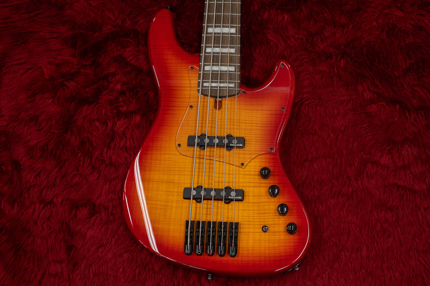 【new】Anaconda Basses / Ultra J5 Essence - Honey Burst #23000039V2 4.28kg【GIB Yokohama】