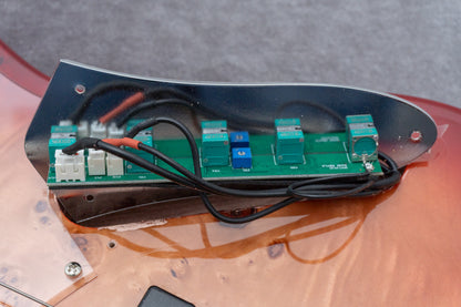 【new】Bacchus / WJB-BP/Act RD-B【GIB Hyogo】