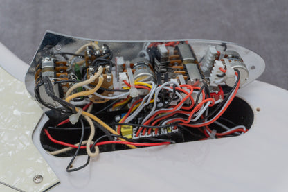 【outlet】Sire / V8-4 WB 4.34kg #2N24370398【GIB Hyogo】