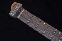 【new】HEX Guitars / N400L