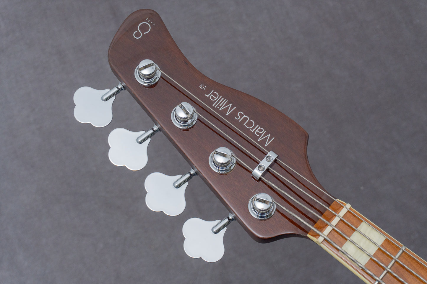 【outlet】Sire / V8-4 WB 4.34kg #2N24370398【GIB Hyogo】