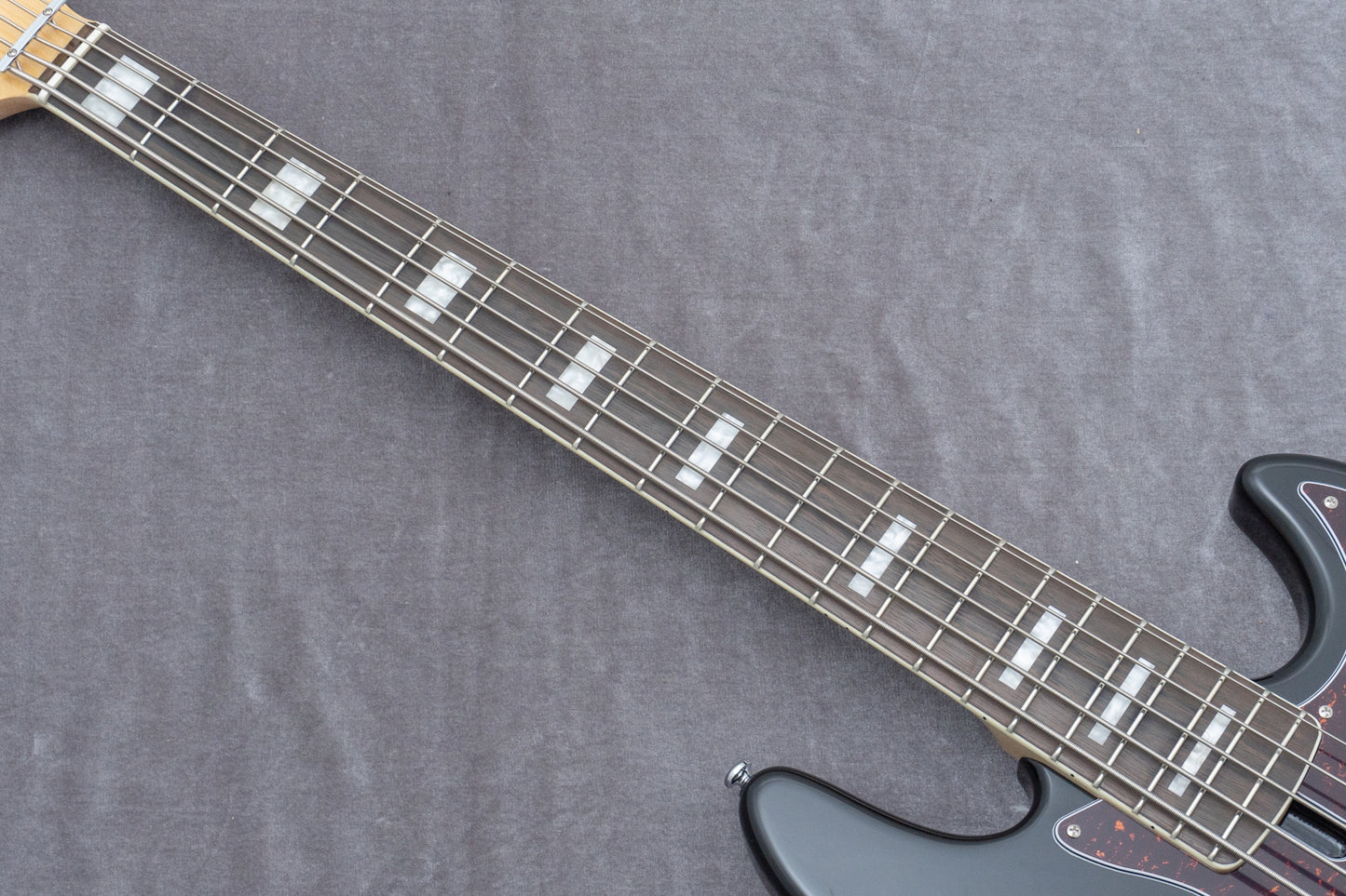 【new】Sire / V7 Alder-5 BK 4.75kg #2N25350847【GIB Hyogo】
