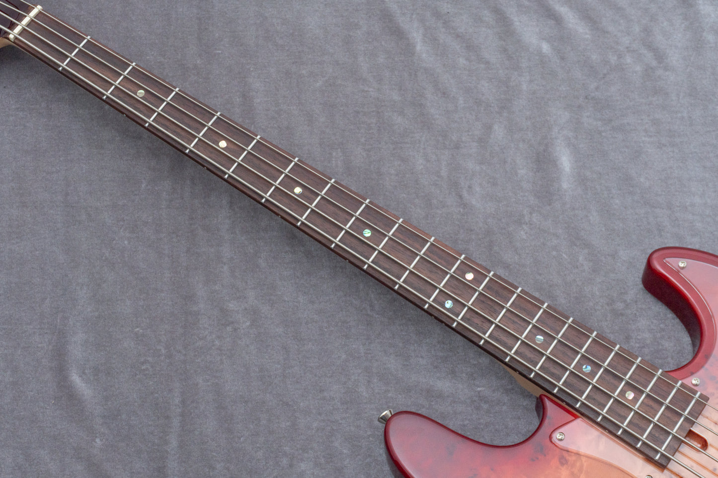 【new】Bacchus / WJB-BP/Act RD-B【GIB Hyogo】