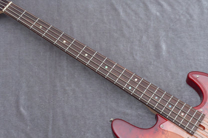 【new】Bacchus / WJB-BP/Act RD-B【GIB Hyogo】