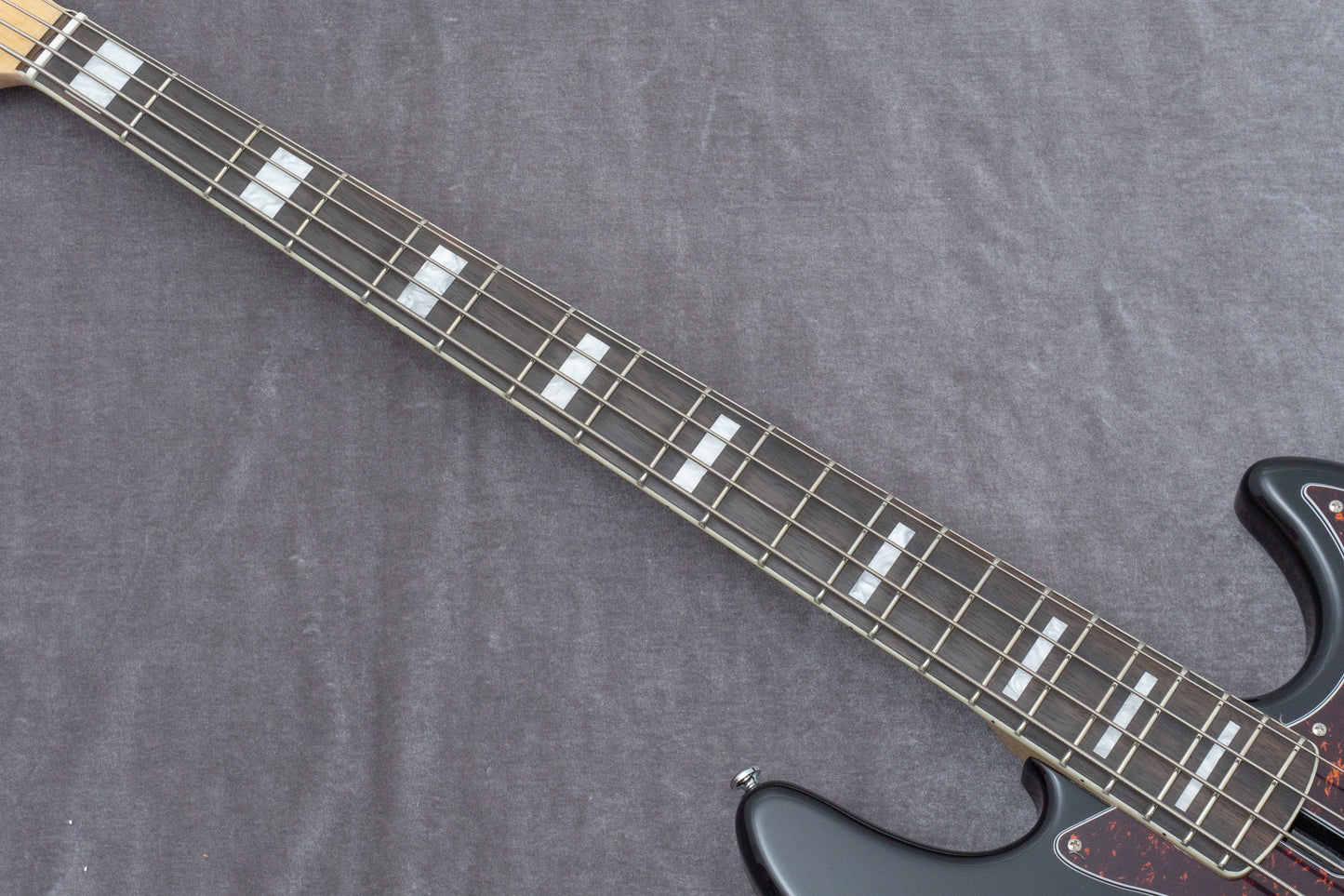 【new】Sire / V7 Alder-4 BK 4.57kg #2N25340955【GIB Hyogo】