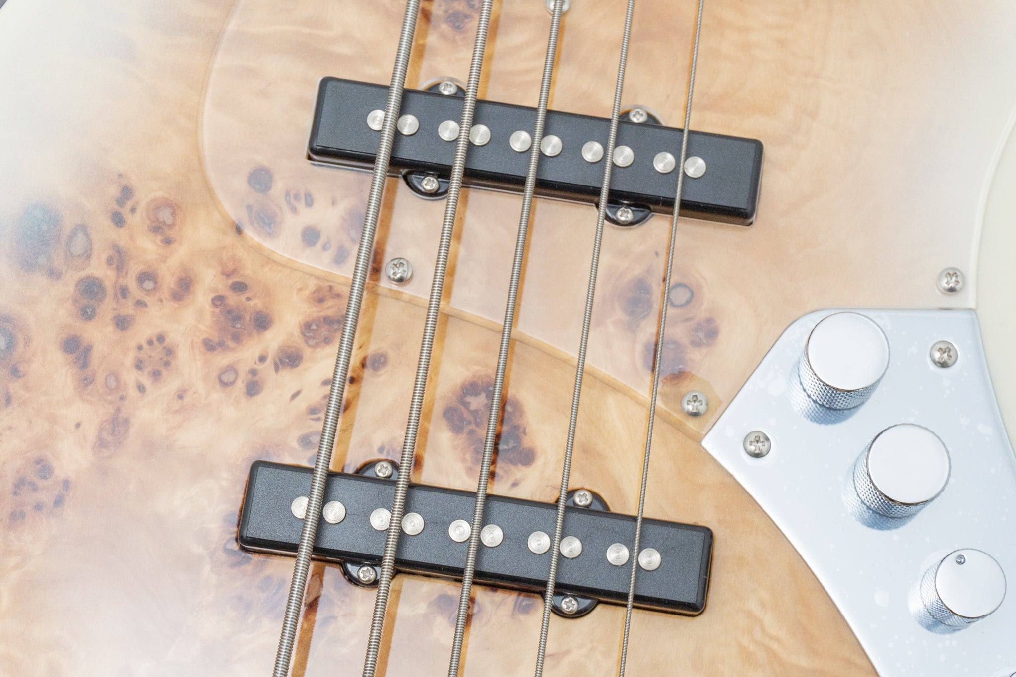 new】Bacchus / WJB5-BP/Act BD-B【GIB Hyogo】 – Bass Shop Geek IN Box