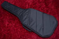 【new】HEX Guitars / NB505 Black