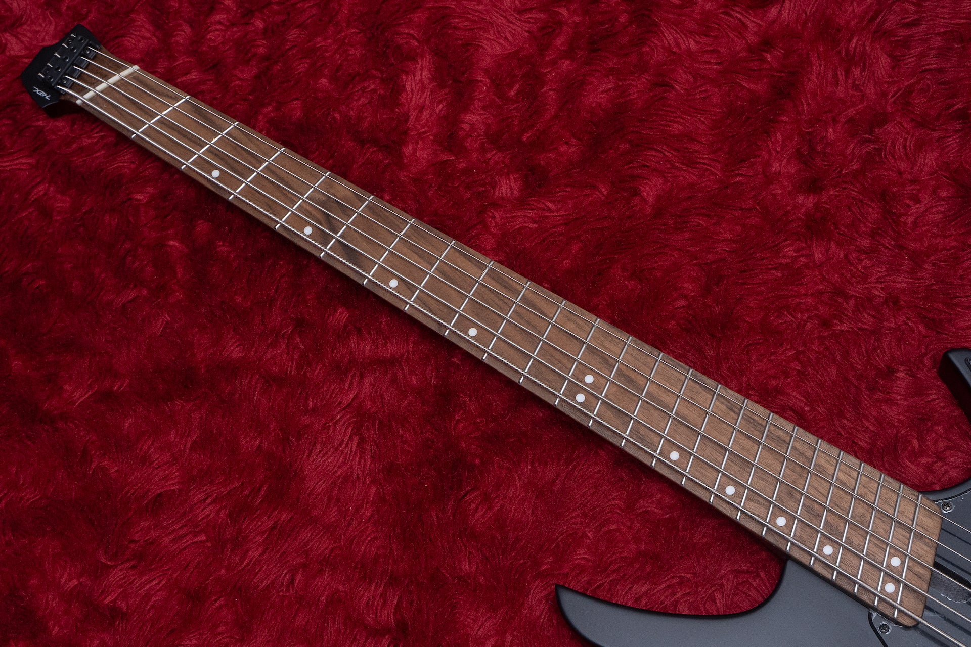 new】HEX Guitars / NB505 Black – Bass Shop Geek IN Box