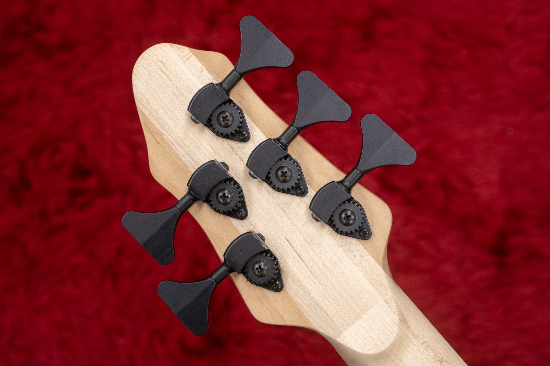 new】Benevolent Basses / Benevolo Cinque 5st with Hi-C string