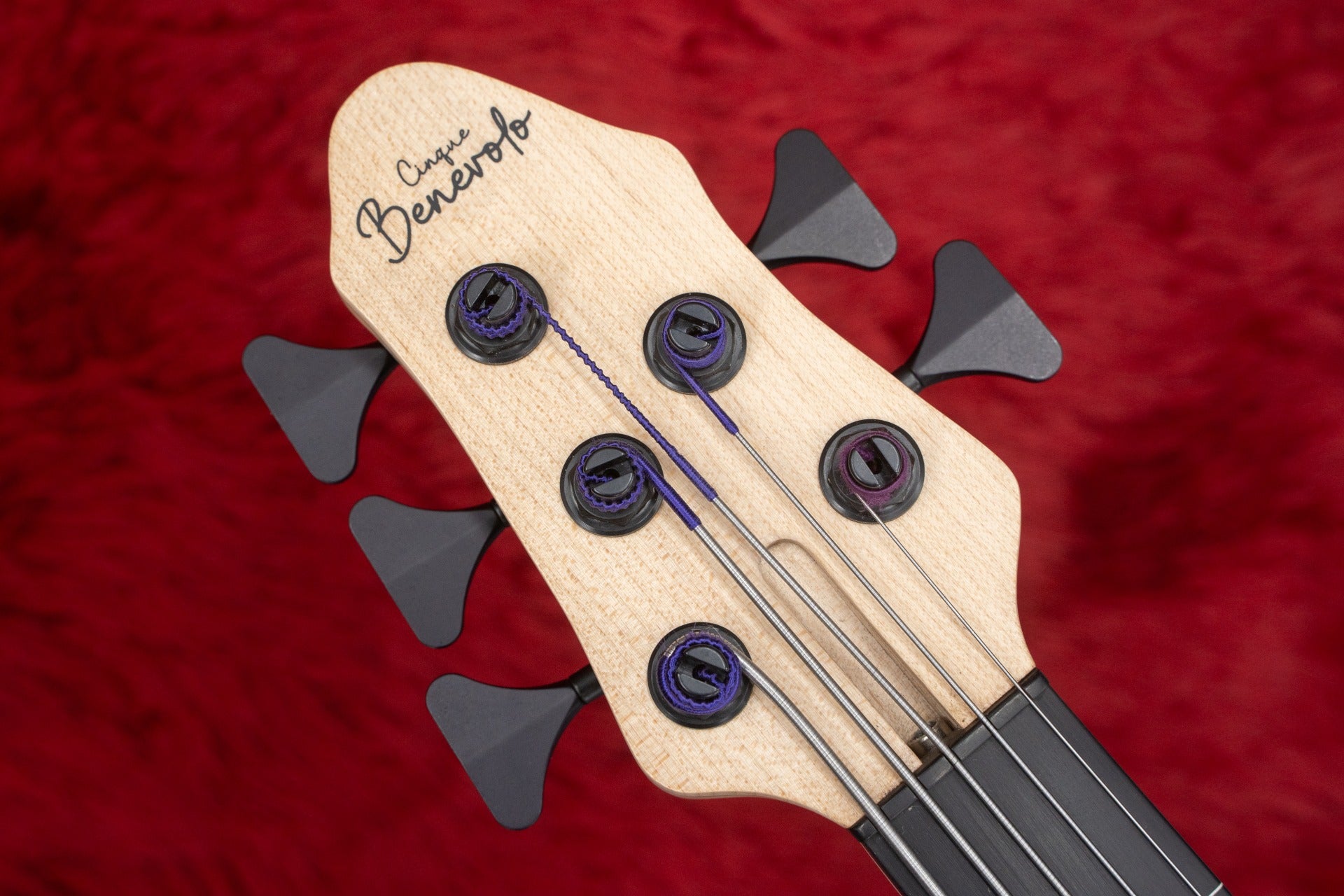 new】Benevolent Basses / Benevolo Cinque 5st with Hi-C string