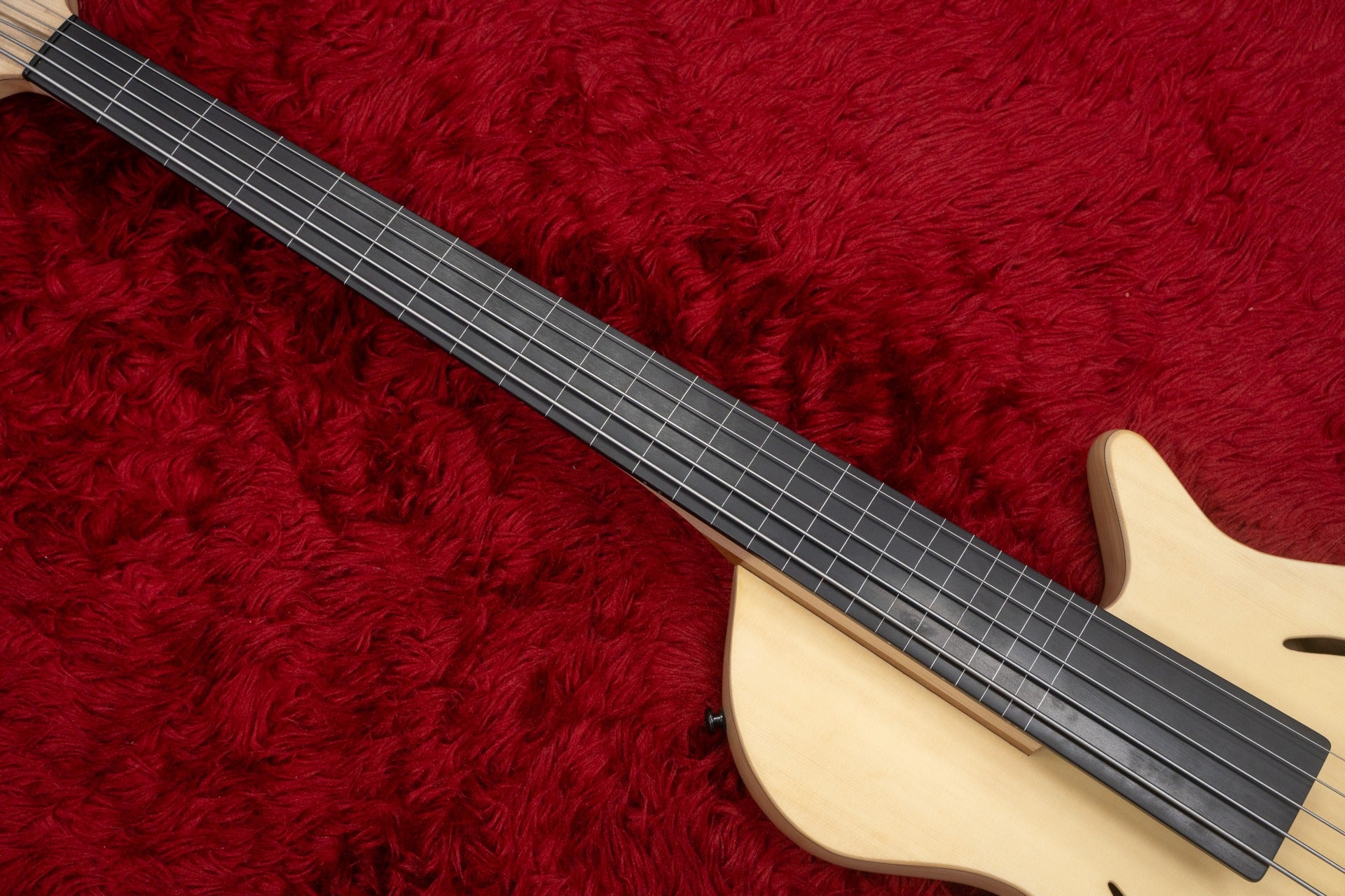 new】Benevolent Basses / Benevolo Cinque 5st with Hi-C string