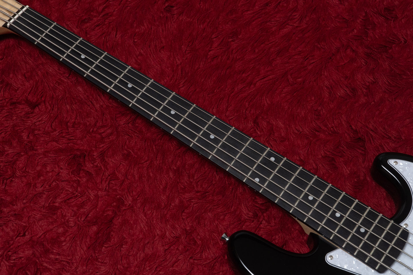 【new】woofy basses / ONE series Cavalier 5 Black