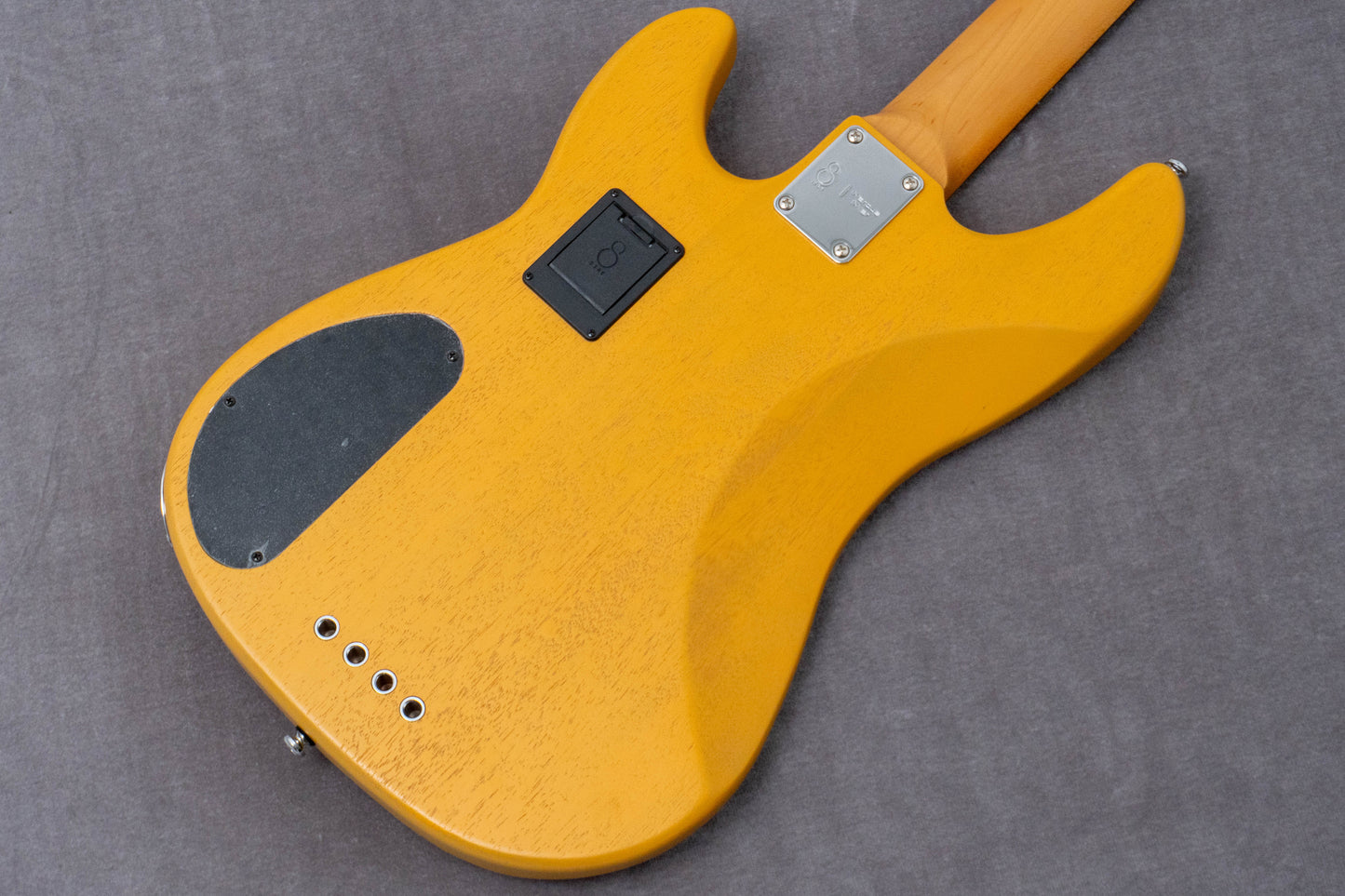 【new】Sire / P6-4 BB 3.9kg #2N25080380【GIB Hyogo】