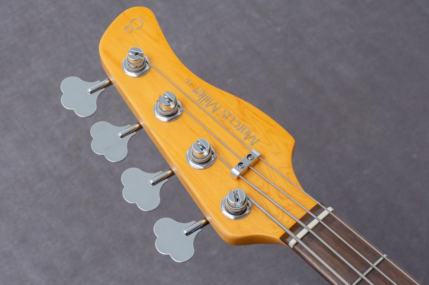 【new】Sire / P6-4 BB 3.9kg #2N25080380【GIB Hyogo】