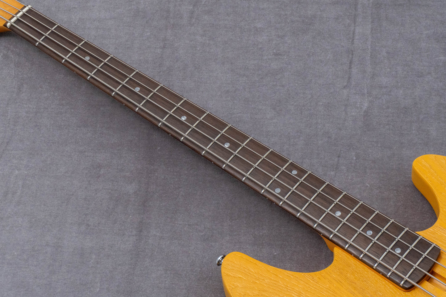 【new】Sire / P6-4 BB 3.9kg #2N25080380【GIB Hyogo】