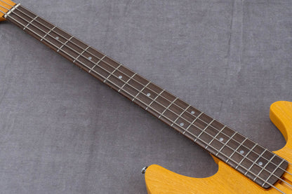 【new】Sire / P6-4 BB 3.9kg #2N25080380【GIB Hyogo】