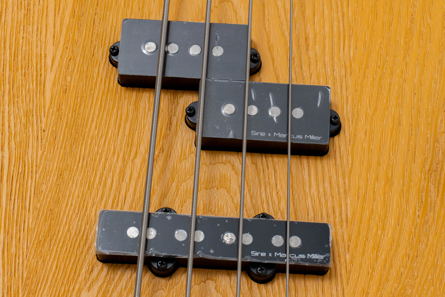 【new】Sire / P6-4 BB 3.9kg #2N25080380【GIB Hyogo】