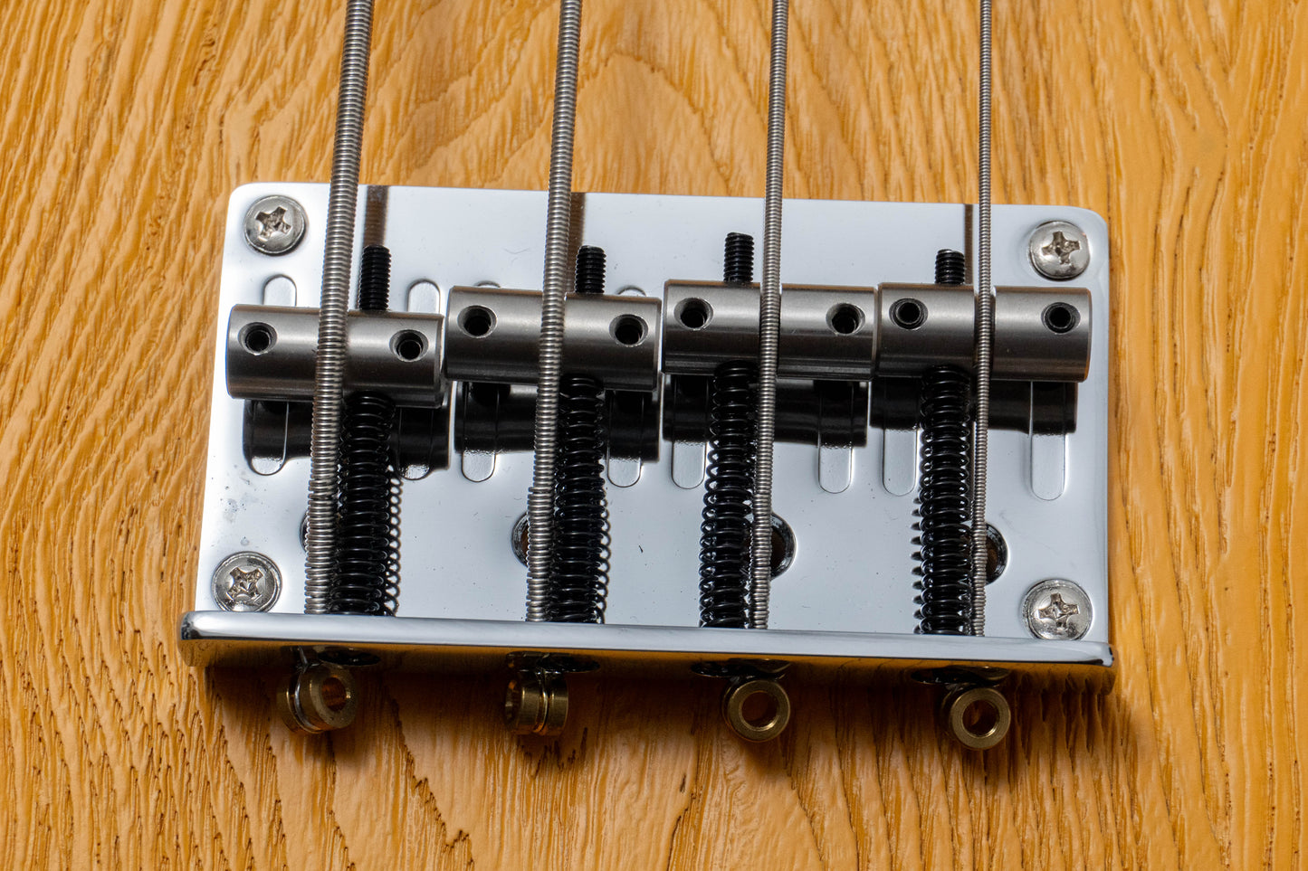 【new】Sire / P6-4 BB 3.9kg #2N25080380【GIB Hyogo】