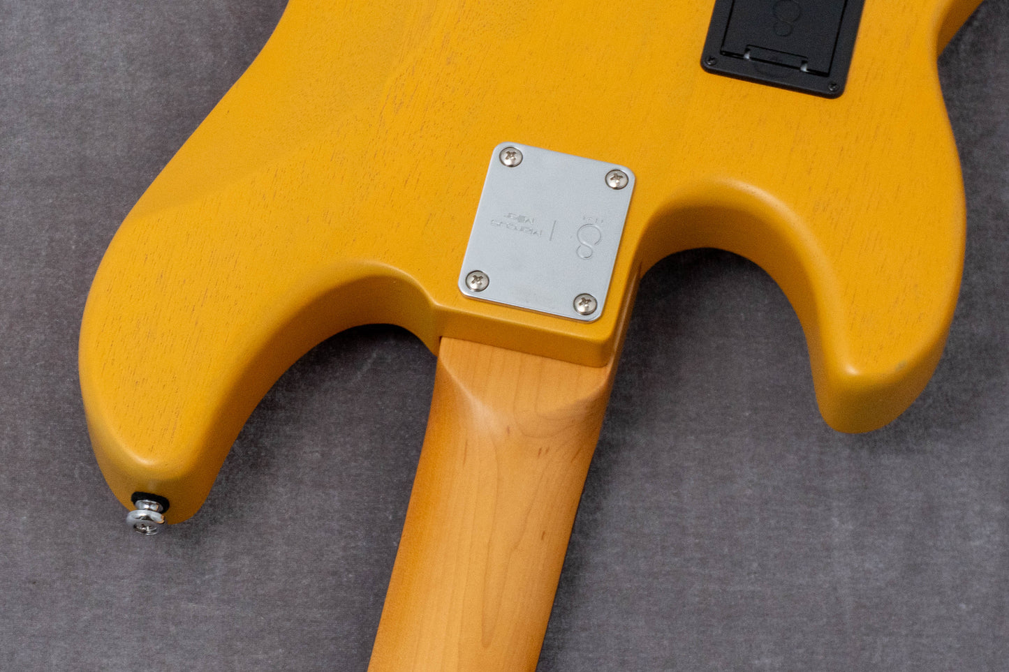 【new】Sire / P6-4 BB 3.9kg #2N25080380【GIB Hyogo】