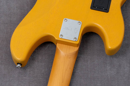 【new】Sire / P6-4 BB 3.9kg #2N25080380【GIB Hyogo】