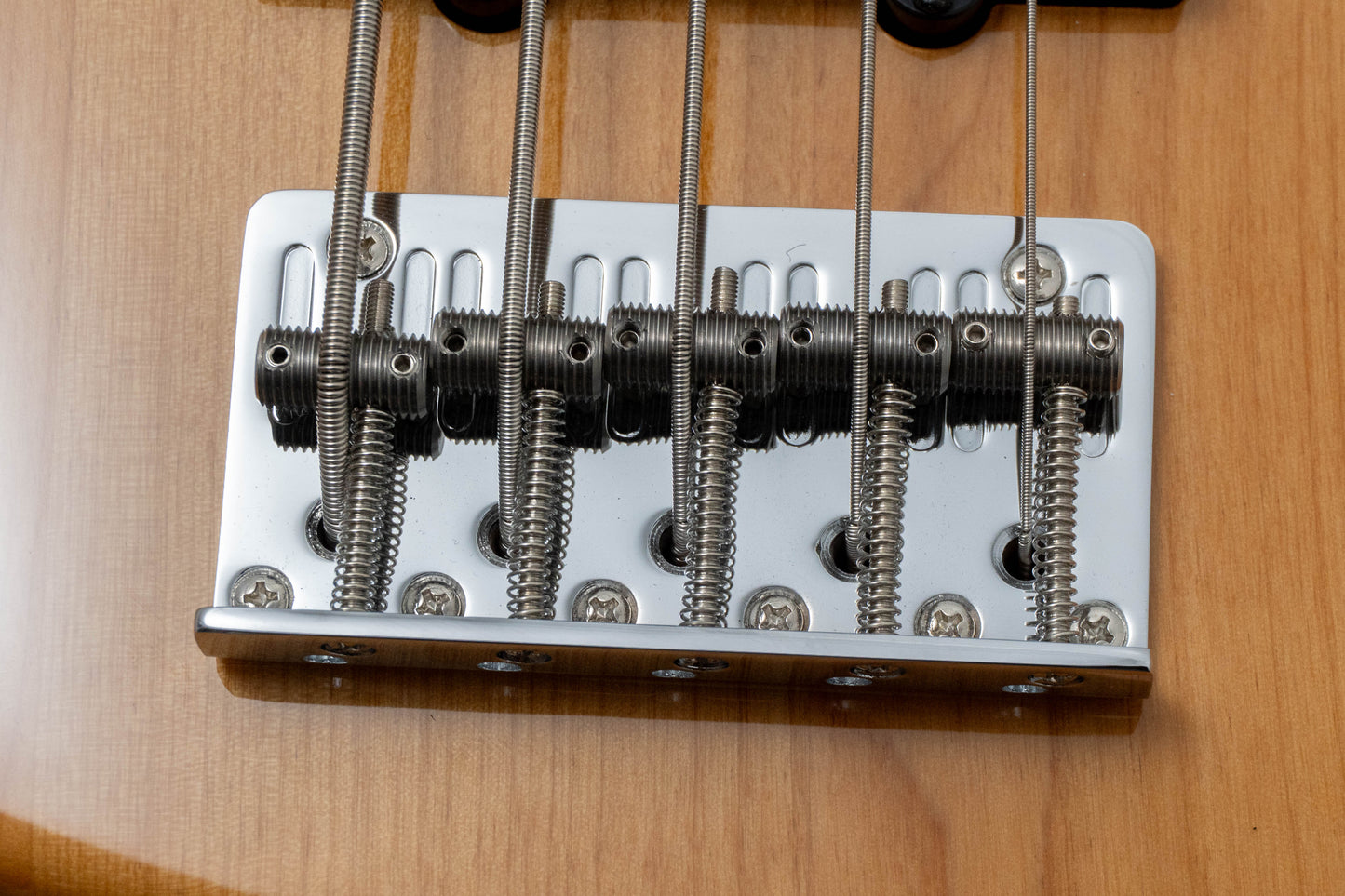 【new】Sire / V5 Alder-5 NT 4.45kg #2N25220868【GIB Hyogo】