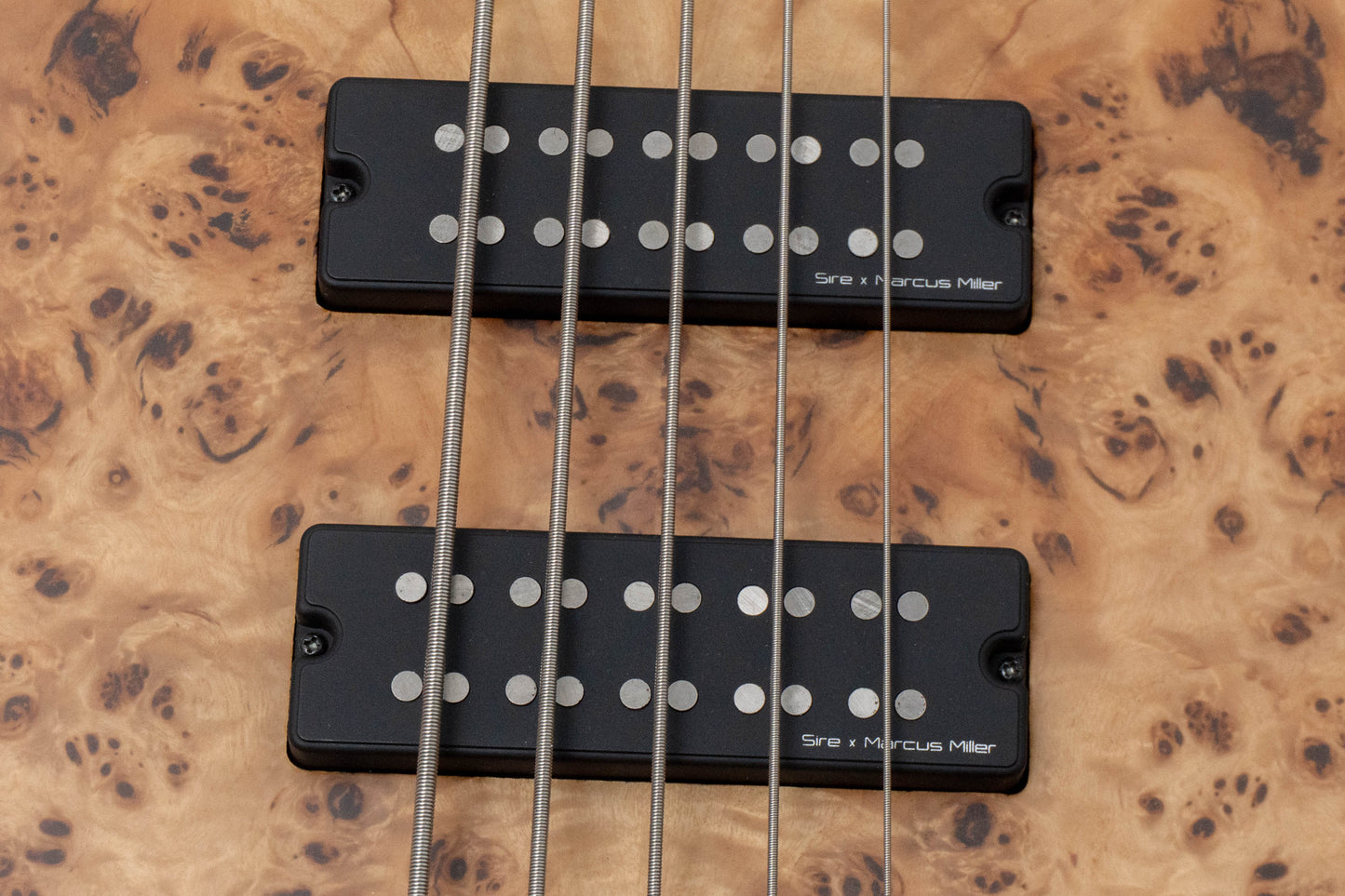 【new】Sire / F10-5 NT.S 4.55kg #2N26800019【GIB Hyogo】