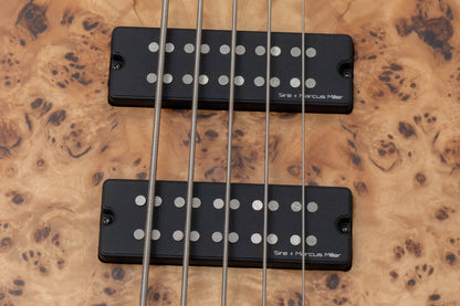 【new】Sire / F10-5 NT.S 4.55kg #2N26800019【GIB Hyogo】