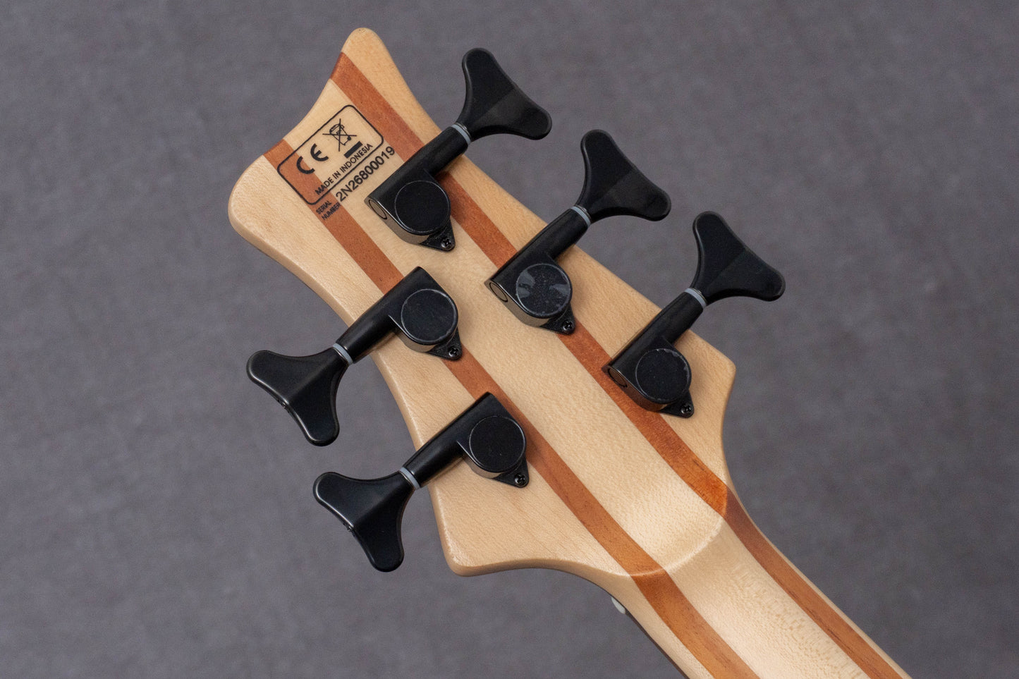 【new】Sire / F10-5 NT.S 4.55kg #2N26800019【GIB Hyogo】