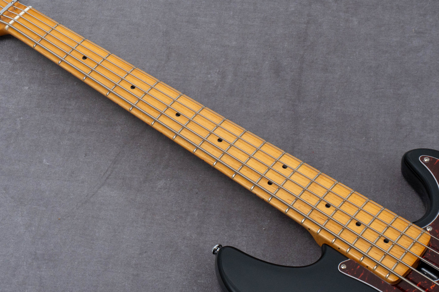【new】Sire / P5 Alder-5 bk 4.5kg #2N25500577【GIB Hyogo】