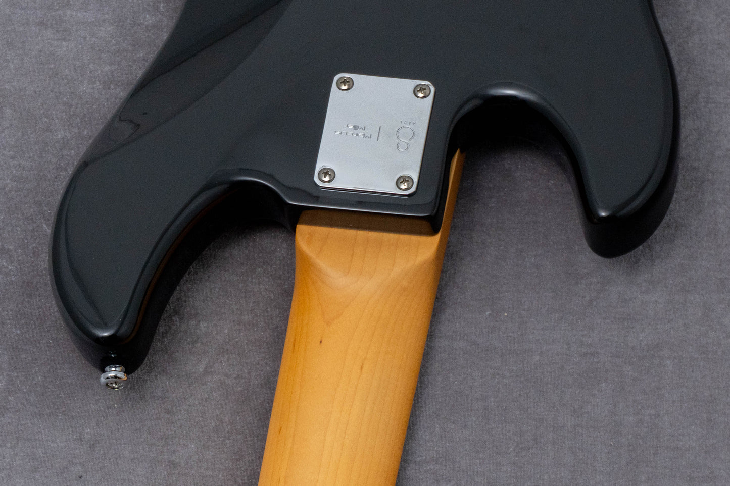 【new】Sire / P5 Alder-5 bk 4.5kg #2N25500577【GIB Hyogo】