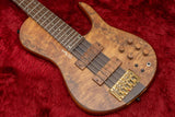 【new】D'Mark Guitars / OMEGA 5 Exotic Buckeye MASTER SERIES #23J0003 4.22kg【GIB Hyogo】