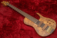 【new】D'Mark Guitars / OMEGA 5 Exotic Buckeye MASTER SERIES #23J0003 4.22kg【GIB Hyogo】