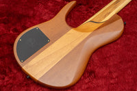 【new】D'Mark Guitars / OMEGA 5 Exotic Buckeye MASTER SERIES #23J0003 4.22kg【GIB Hyogo】