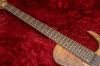 【new】D'Mark Guitars / OMEGA 5 Exotic Buckeye MASTER SERIES #23J0003 4.22kg【GIB Hyogo】