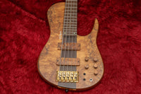 【new】D'Mark Guitars / OMEGA 5 Exotic Buckeye MASTER SERIES #23J0003 4.22kg【GIB Hyogo】