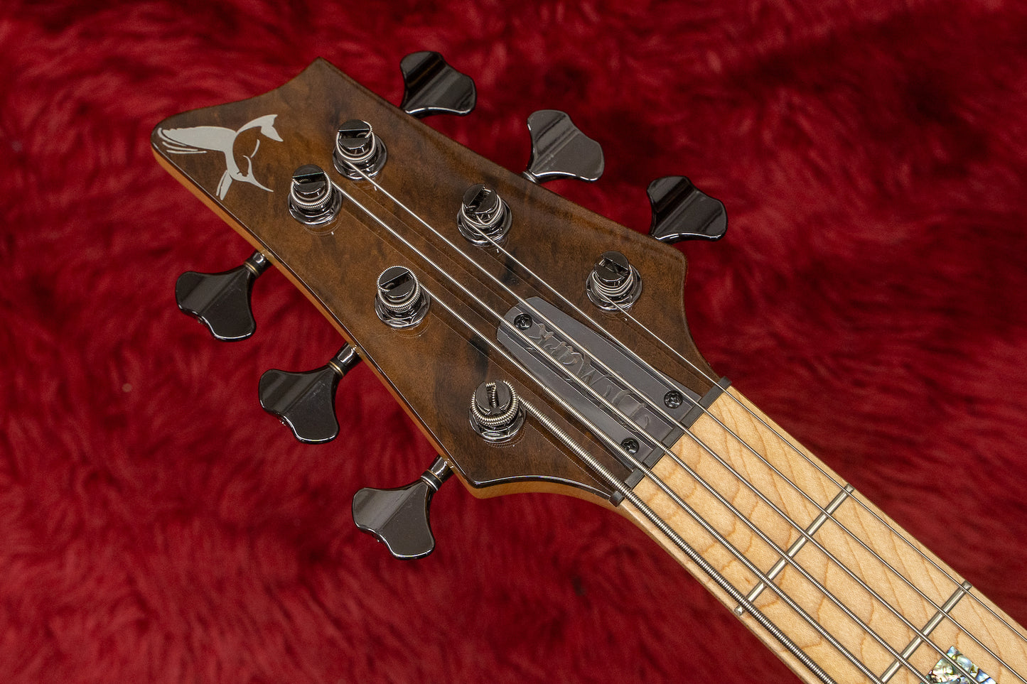 【new】D'Mark Guitars / Omega 6 Exotic Imbuia MASTER SERIES #23B0009 4.635kg【GIB Yokohama】
