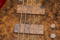 【outlet】D'mark Guitars / Omega 5 Burl Walnut 4.285kg #24B0012【GIB Yokohama】