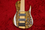 【new】D'mark Guitars / Omega 5 Exotic Burl Buckey MASTER SERIES 4.280kg #24D 0018【GIB Yokohama】