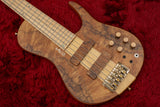 [new] D’mark Guitars / OMEGA 5 Exotic Buckeye MASTER SERIES #23A0014 4.385kg [Yokohama]