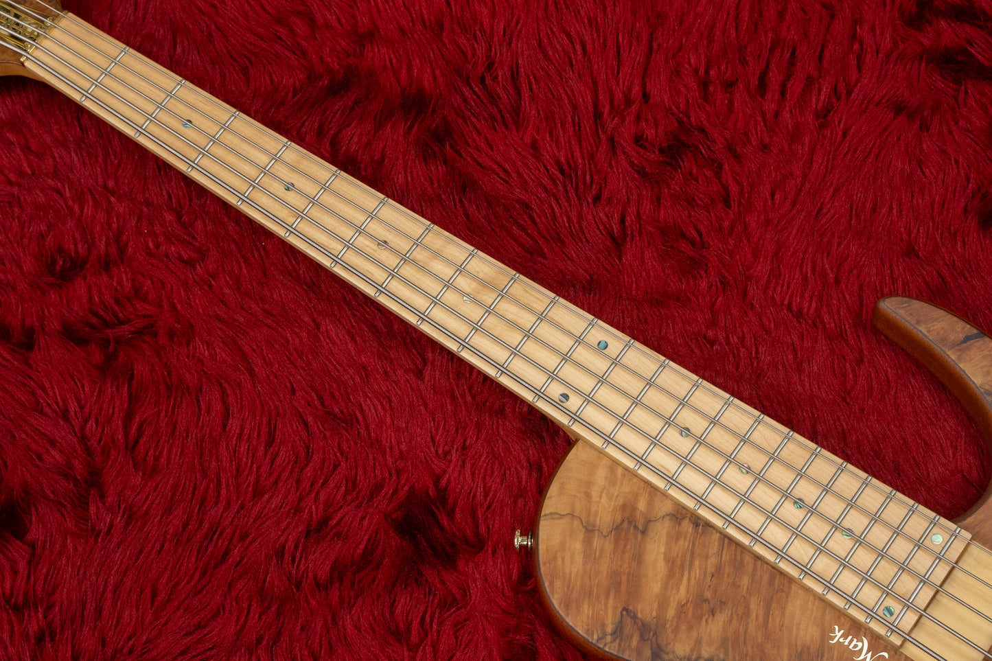 [new] D’mark Guitars / OMEGA 5 Exotic Buckeye MASTER SERIES #23A0014 4.385kg [Yokohama]