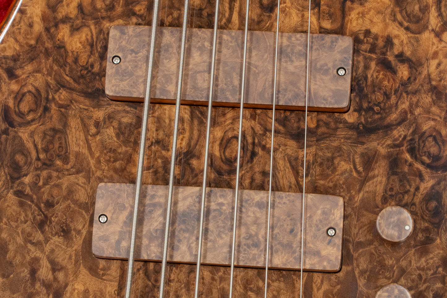 [new] D’mark Guitars / Alpha 6 Burly Walnut MASTER SERIES #23E0017 4.37kg [Yokohama]