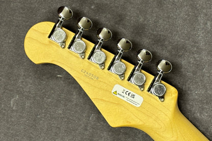 【new】FGN / BCST100RBD-3TS/01【GIB Hyogo】