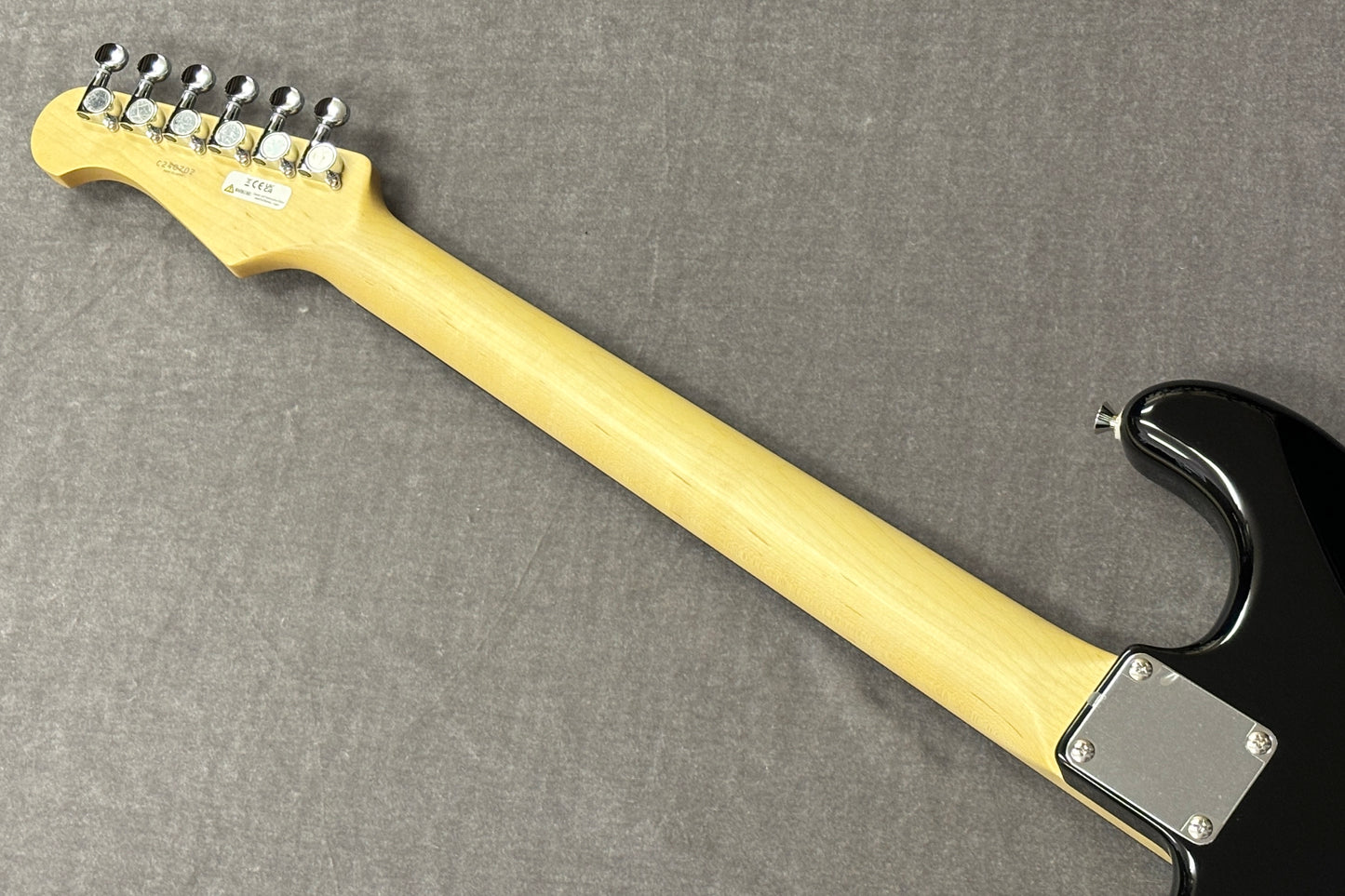 【new】FGN / BCST100RBD-BK/01【GIB Hyogo】
